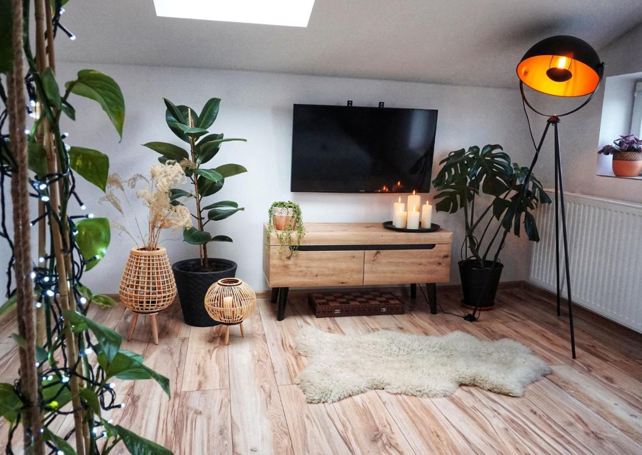 Loft Zulawy, Apartament Na Wylacznosc Nowy Dwor Gdanski Ngoại thất bức ảnh